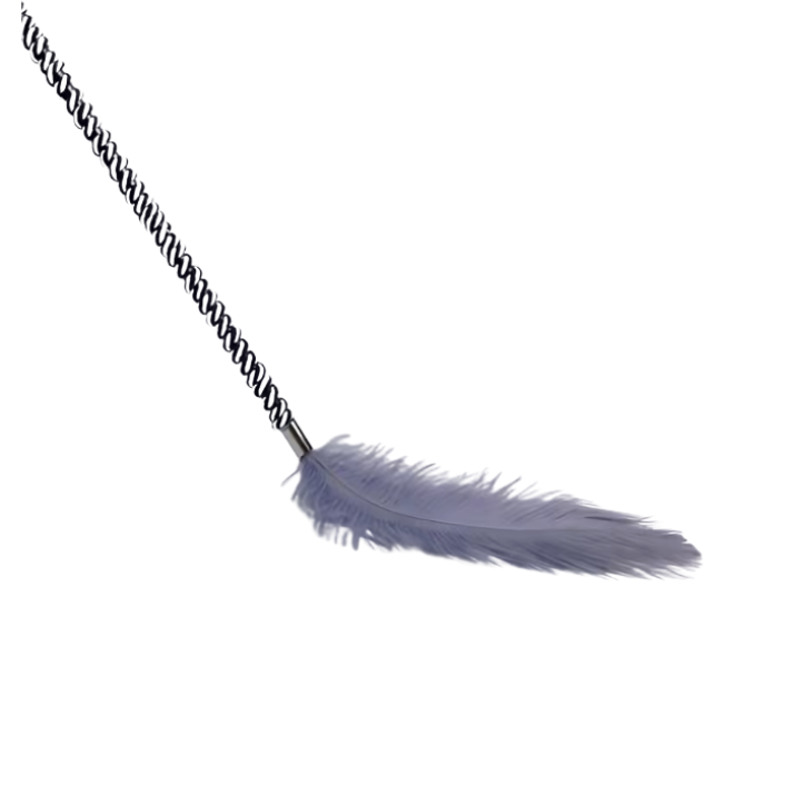 Long Handled Sensory Play Feather Tickler