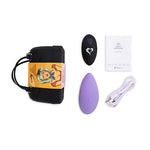 FeelzToys Rechargeable Panty Vibrator With Remote Control - Sex Toys